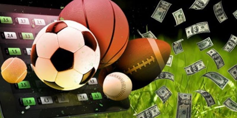 Chuyên mục thể thao hấp dẫn